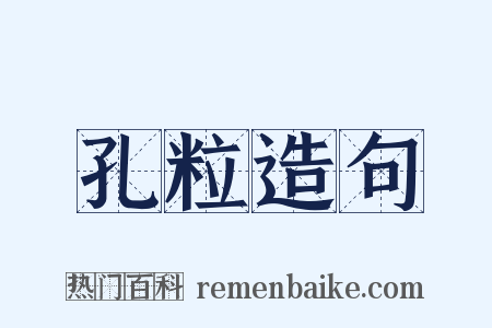 孔粒造句是什么意思的图片